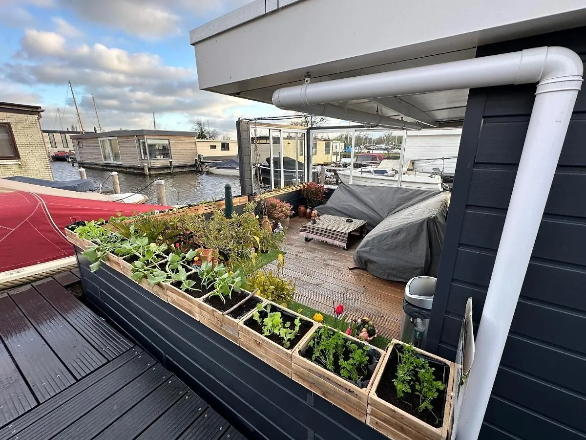 Rw-Aalsmeer,Waterloft Near Amsterdam And Schiphol Дом отдыха Алсмер