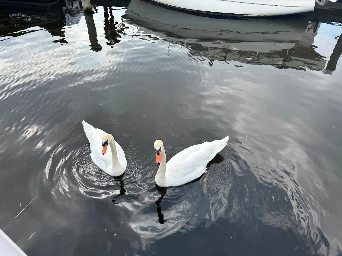 Rw-Aalsmeer,Waterloft Near Amsterdam And Schiphol Дом отдыха